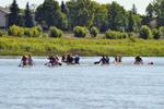 Marathon Nationals MB-81