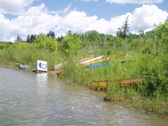 P7083539