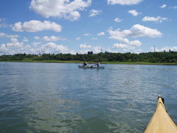P7083508