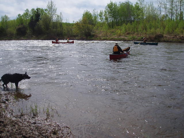 Torch_River-surfers