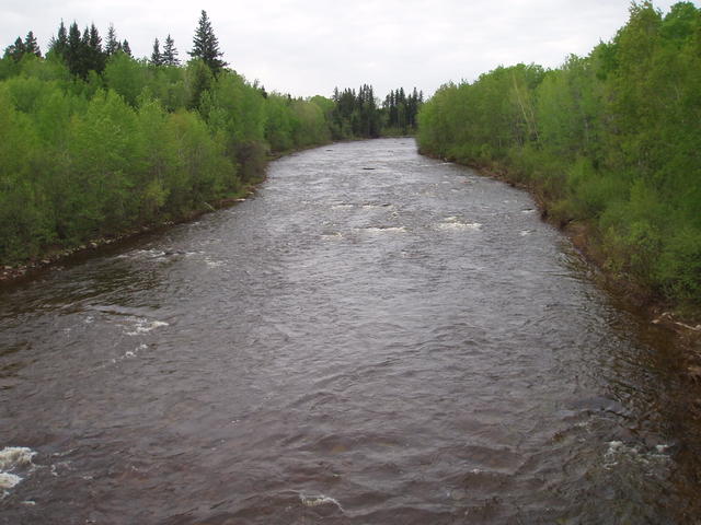 TorchRiver_LoveBridge2