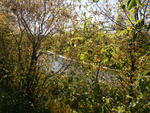 2009-01-02 00.42.02